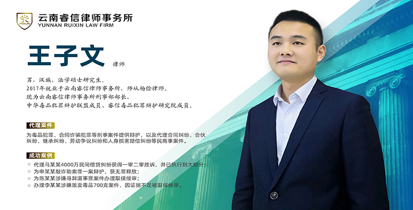 王子文