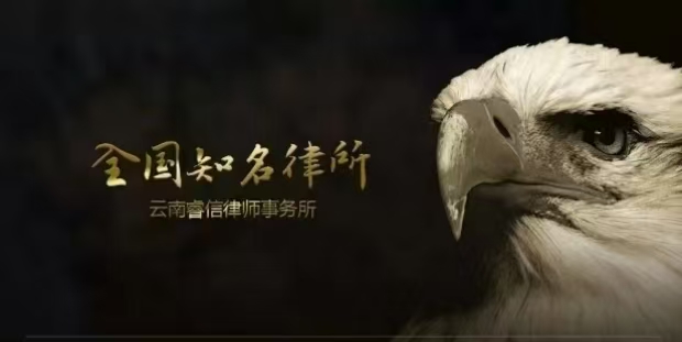 睿信动态∣本所民商部举办“人工智能与法律实务深度融合”主题沙龙
